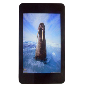 17 Inch Wall Mounted LCD Advertising Player - Click Image to Close