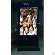 Indoor P4 Poster LED Display